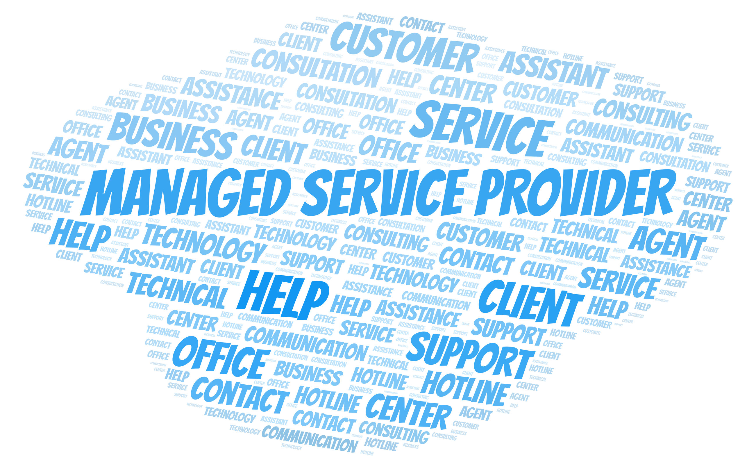 Managed Service Provider Managed Service Provider
