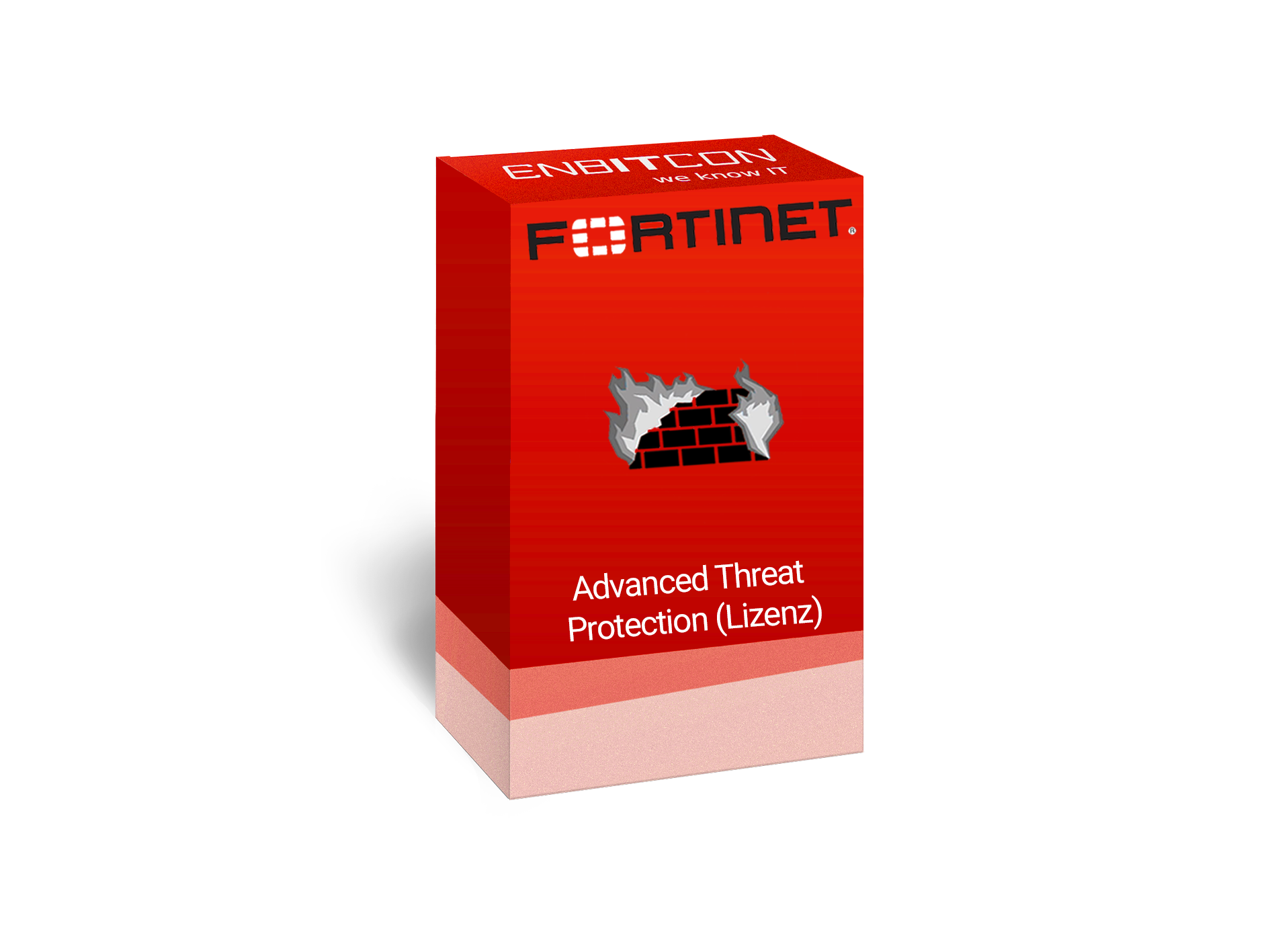 Fortinet Advanced Threat Protection Lizenzbox