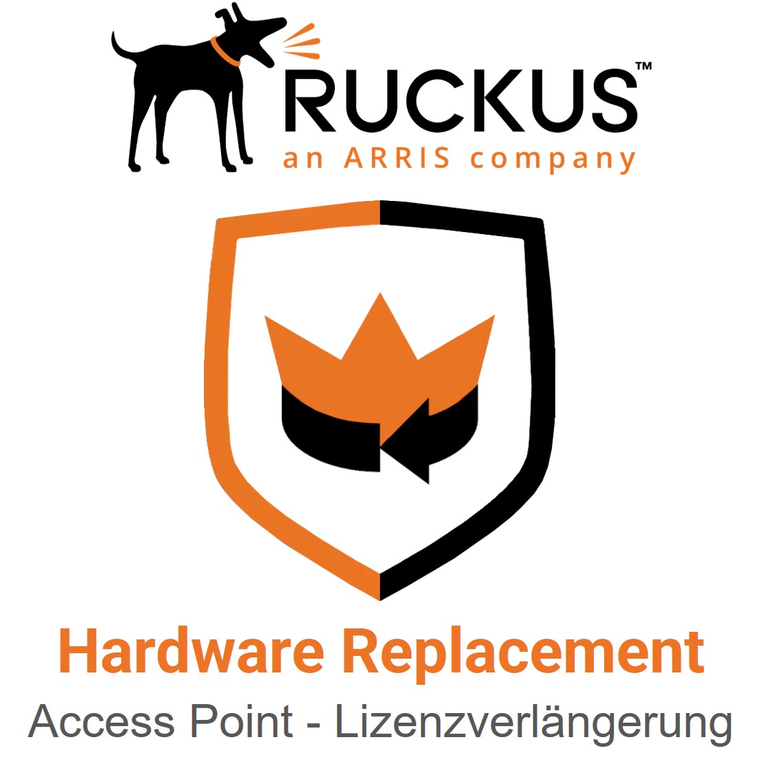 Ruckus T310S Advanced Hardware Replacement Lizenzverlängerung